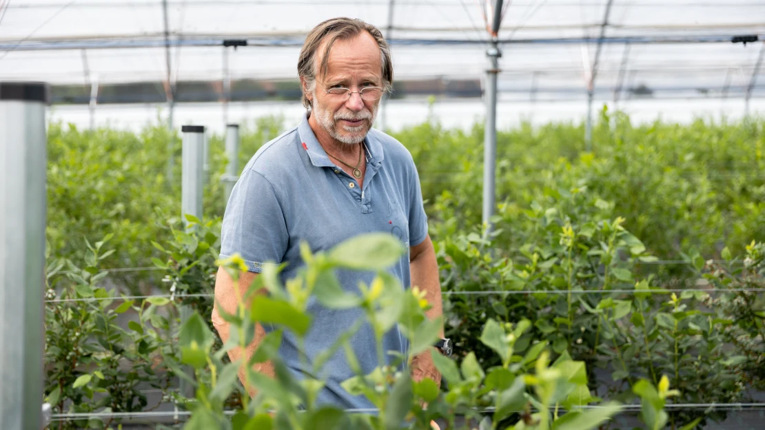 Supermarkety je zklamaly. Karel Roden i&nbsp;další farmáři proto zkoušejí štěstí s&nbsp;aplikacemi
