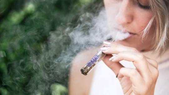 Evropský trh s konopím čekají zelené zítřky. Kde všude je marihuana legální?