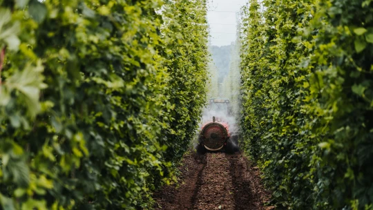 PPF dvojkou českého chmelařství. Skupina Renáty Kellnerové ovládla Agro-Chmel Holding
