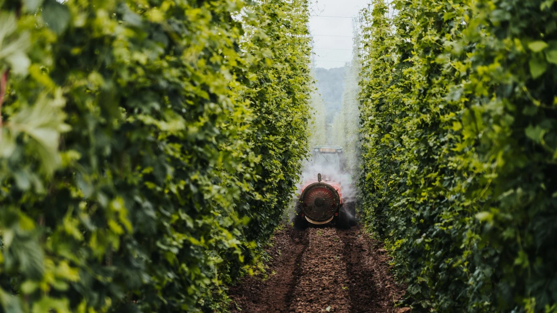 PPF dvojkou českého chmelařství. Skupina Renáty Kellnerové ovládla Agro-Chmel Holding