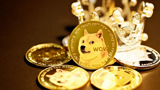 Elon Musk potěšil internet. Tesla prodává fanouškovské předměty za kryptoměnu dogecoin
