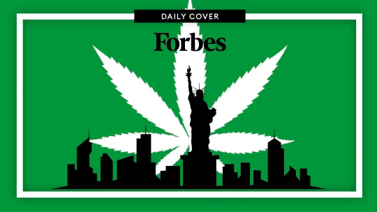 Z New Yorku je marihuanový Divoký západ, kde se bojuje o miliardový trh s&nbsp;trávou