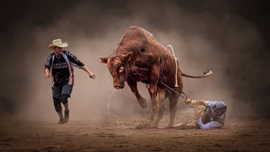 Tohle jsou nejlepší fotky loňského roku. A je mezi nimi i jedna z Česka