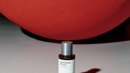 Milion rozhodnutí v jednom flakonu. Český concept store Ingredients uvádí vlastní parfém