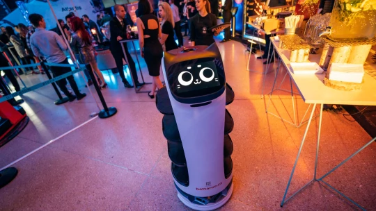 Invaze robotů do českých restaurací. Aneb když vám večeři servíruje mechanická kočka