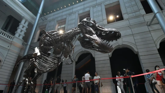 Christie’s stáhl kostru Tyrannosaura rexe z&nbsp;plánované aukce. Její pravost byla zpochybněna