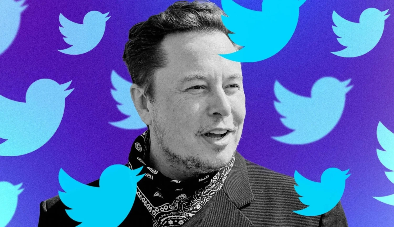 Twitter má novou šéfku. Muska v&nbsp;čele společnosti nahradí Linda Yaccarinová