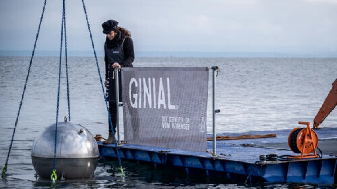 Ze dna Bodamského jezera zmizela koule plná ginu. Zákazníci Fishgroup se ho tak na Vánoce nedočkají
