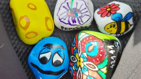 Konec malovacího fenoménu? V&nbsp;Česku klesl prodej fixu na kamínky