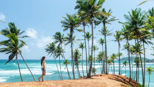 Čas vyrazit. Na Srí Lance krize pominula a už chybějí jen turisté, říkají Češi na ostrově