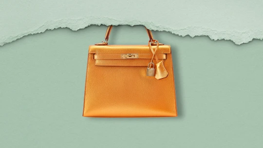 Sedmdesát milionů v kabelkách. Hongkongský miliardář vydražil mimořádné kousky