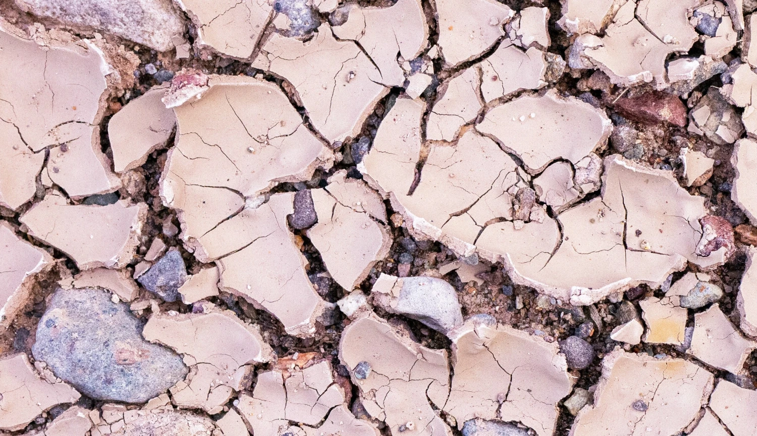 Když řeky mizely a lidé umírali. Příběh šílené vlny veder roku 1540