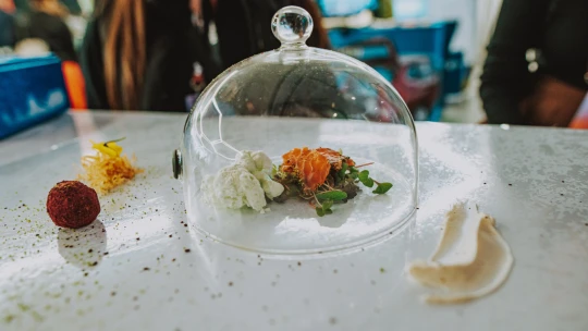 Wasabi zmrzlina i losos v ginu? V cateringu nestačí obyčejné jídlo na běžném talíři. Musíte zaujmout