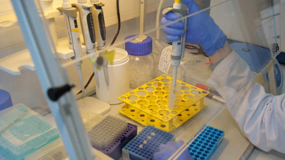 Trumf proti neplodnosti. Startup Fetus pomáhá s&nbsp;výběrem embrya