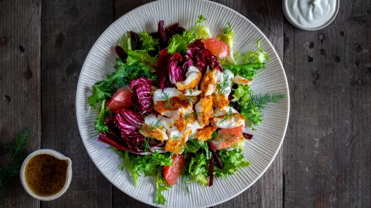 Svěží jídlo s vůní Afriky: pstruh s domácí harissou, šlehanou fetou, radicchio salátem & grepem