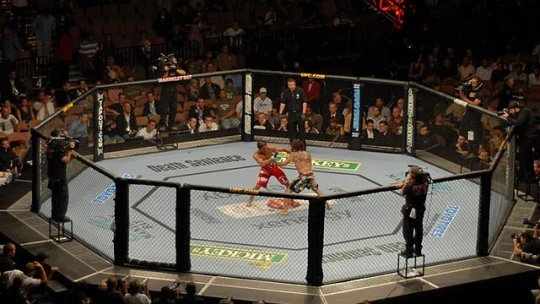 UFC se spojí s&nbsp;WWE. Vznikne tak zábavní kolos v&nbsp;hodnotě 21 miliard dolarů