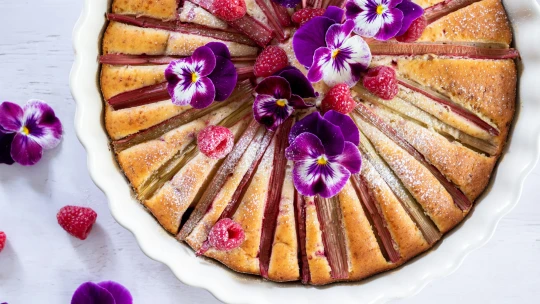 Šťavnatější už být nemůže. Jogurtový koláč s rebarborou & malinami