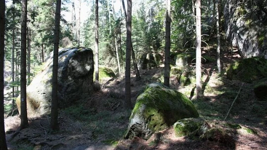 Pandemii i&nbsp;požáru navzdory. České Švýcarsko má o víkendech návštěvnost jako před covidem