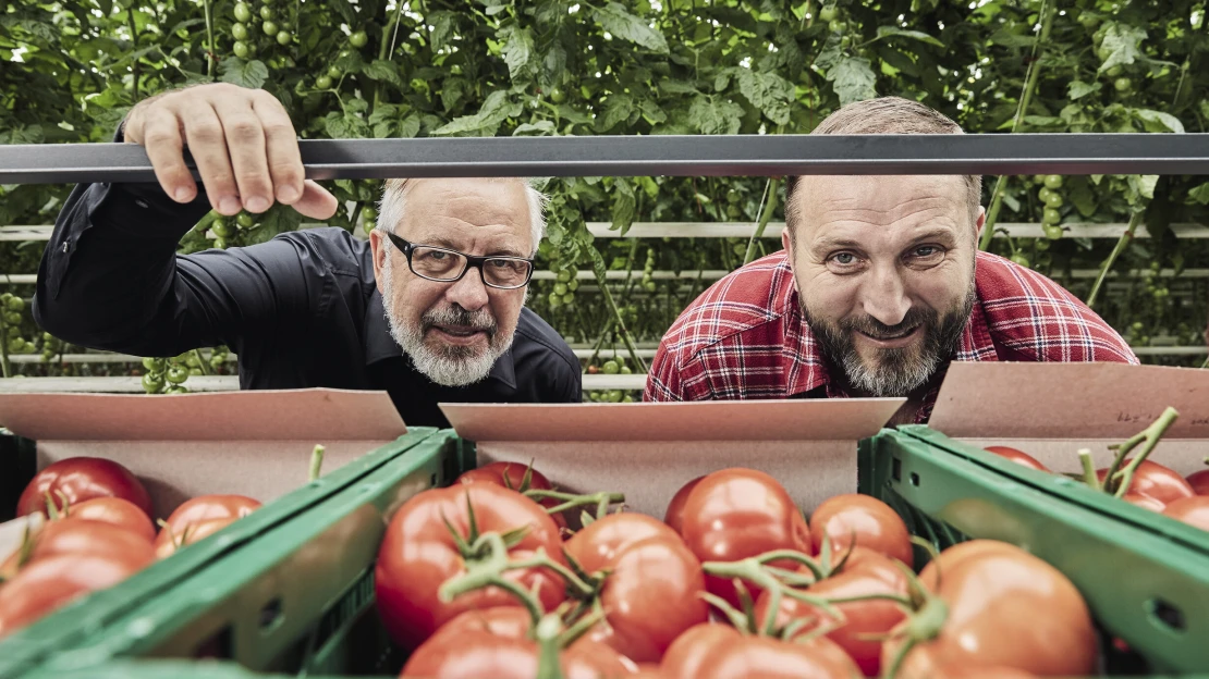 Rajčata z elektrárny. Jak v Tušimicích vyzráli na tmu i zimu