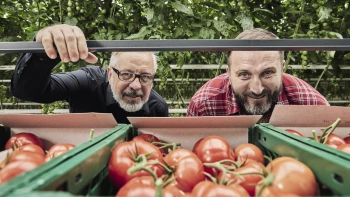 Rajčata z elektrárny. Jak v Tušimicích vyzráli na tmu i zimu