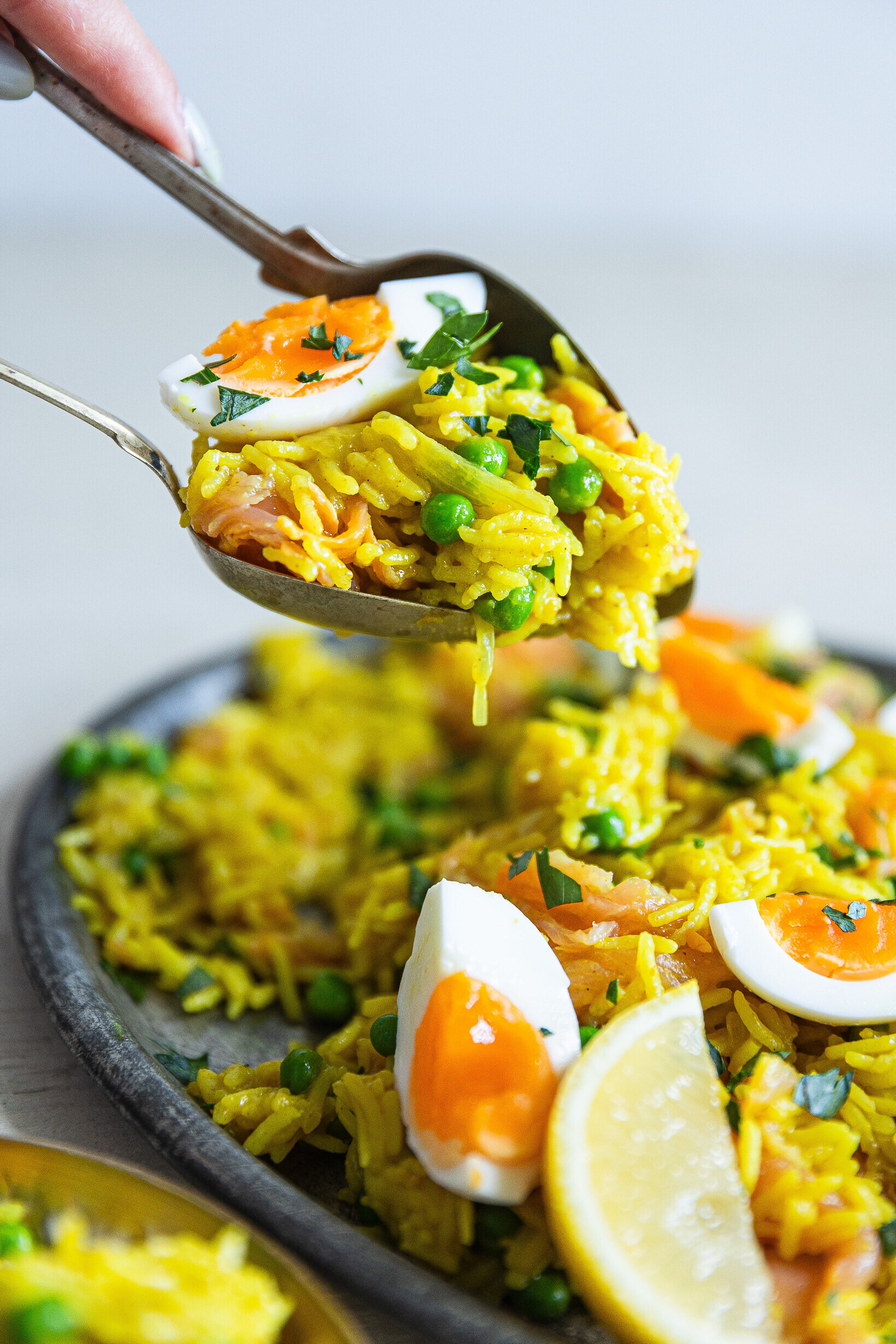 kari rizoto s vejci kedgeree