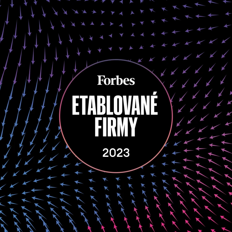 Etablované firmy