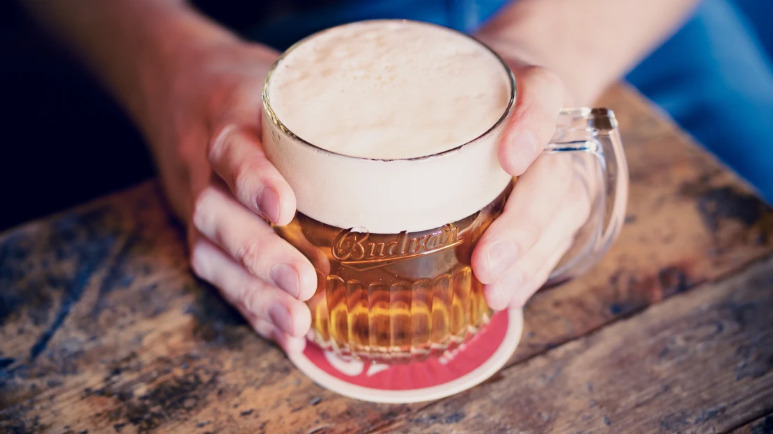 Národní pivovar se mění. Budějovický Budvar investuje 800 milionů korun do rozvoje areálu