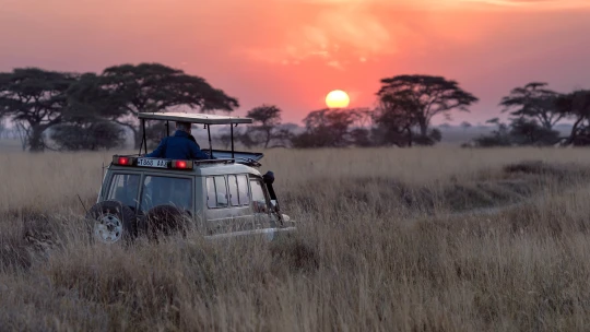 Soukromé safari nebo lyže v&nbsp;Gruzii. Jak tráví zimu nejbohatší lidé Česka?
