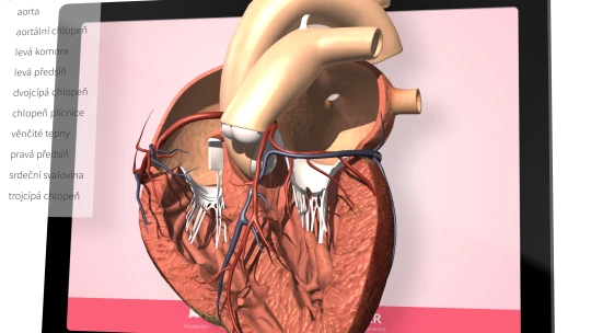 Po světě i Česko. Miliardář Hubáček chce modernizovat školství