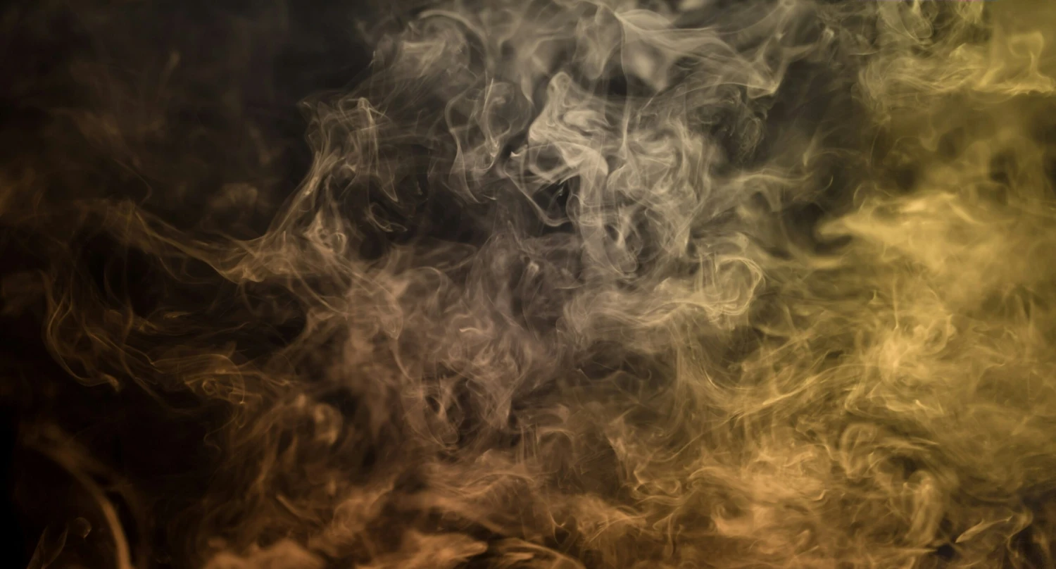 Když vůně křičí. Čeští vědci se podílejí na revoluční diagnostice