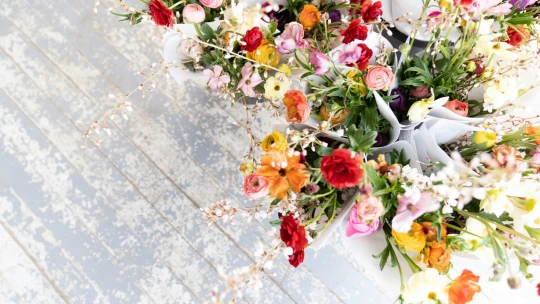 Květinářství očekávají na Den matek mírný pokles poptávky. Na vině je vyšší DPH