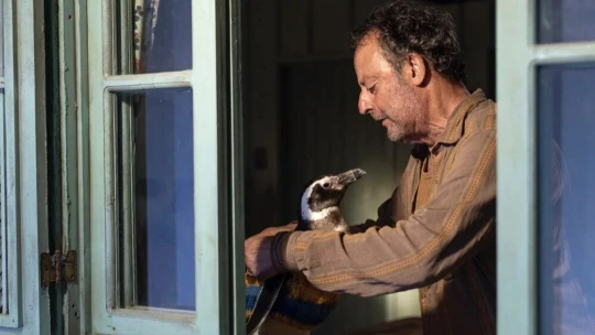 Rodinný film do apokalyptických časů. Tučňák v&nbsp;něm oslňuje stejně jako Jean Reno