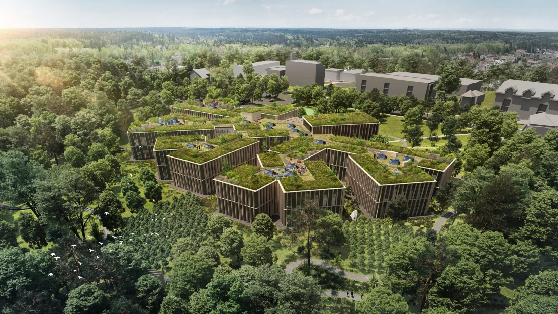 Hlad po&nbsp;dřevě plní kasu Lesů ČR. Tržby vyletěly přes dvanáct miliard