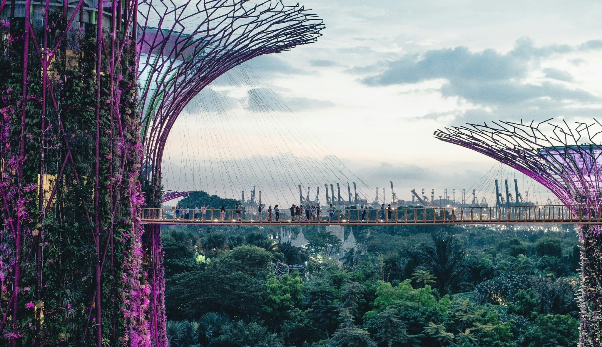 Gardens by the Bay v Singapuru