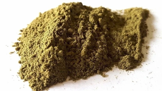 Senát schválil zákon pro regulaci látek typu kratomu. Má chránit především děti