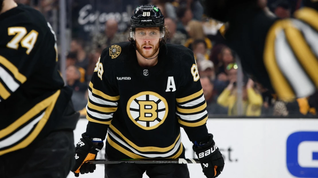 Dva stobodoví Češi v&nbsp;jednom roce. Pastrňák a Nečas vstoupili mezi legendy NHL