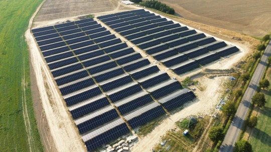 Firma Greenbuddies zaznamenala úspěšný rok, dařilo se jí zejména v Evropě