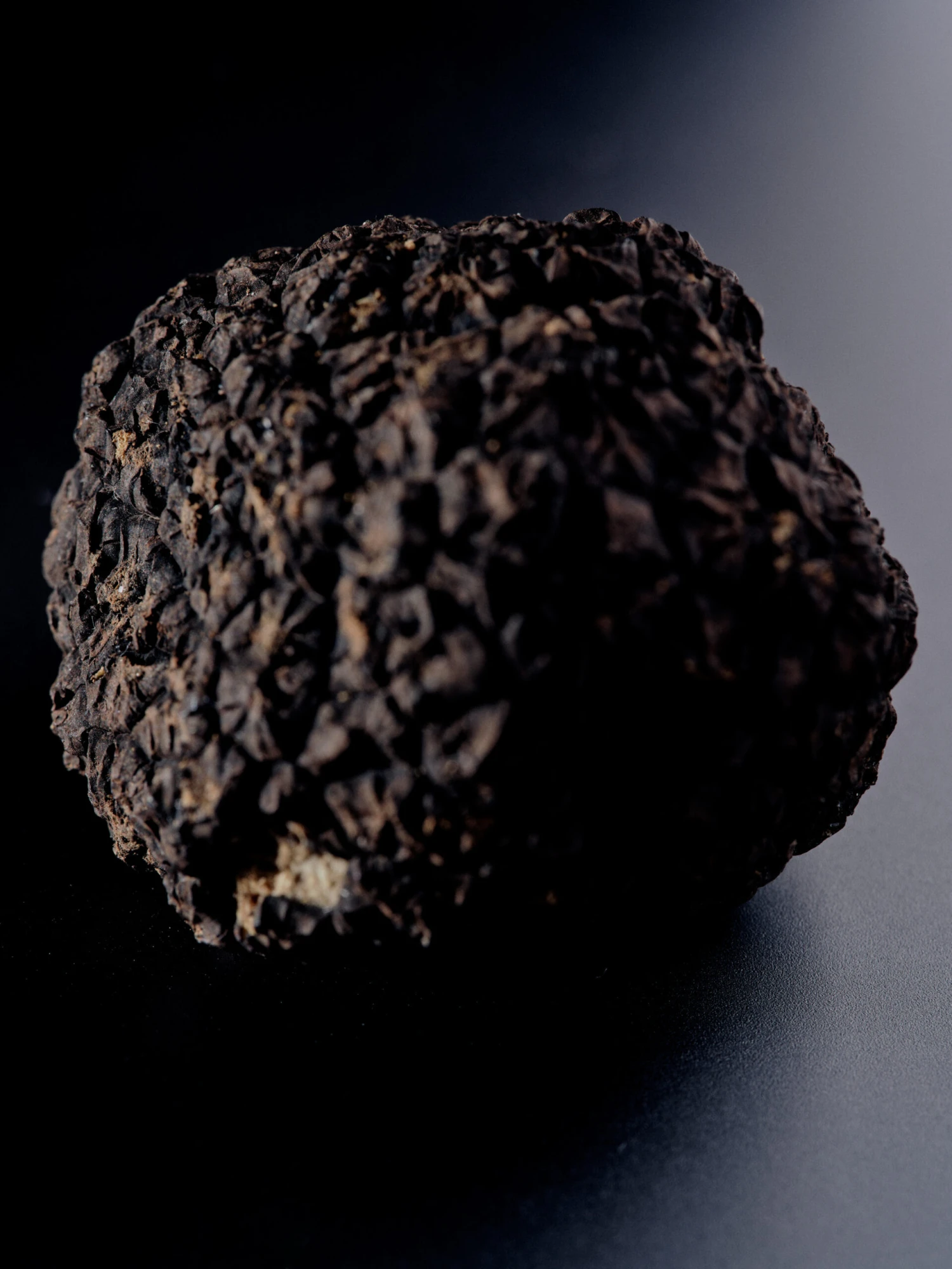 dscf2751-scaled.webp?r=eyJ3IjoxNTAwLCJxIjo5MCwicyI6ImpwZyJ9
