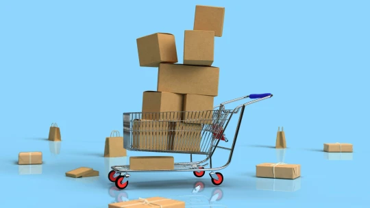 Po dvou letech poklesu návrat k růstu. Obraty e-shopů v&nbsp;roce 2024 dosáhly 194 miliard korun