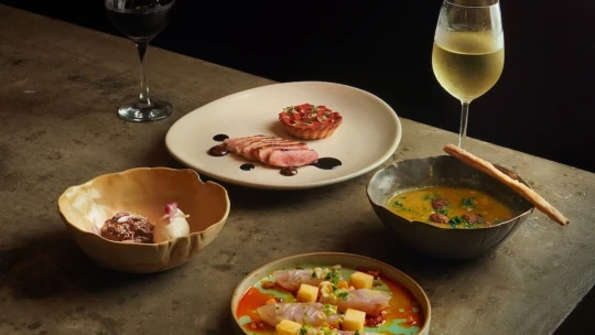 Nová éra české gastronomie. První Průvodce Michelin pro Česko vyjde v&nbsp;prosinci