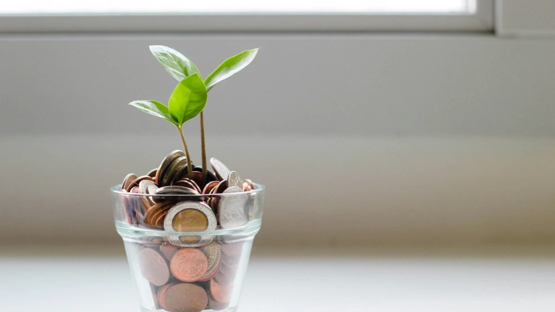 Je finanční gramotnost u&nbsp;Čechů na vzestupu? Tabu stále zůstává téma půjček