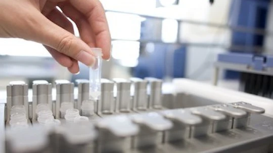 Švýcarský výrobce léků Roche expanduje v USA. Padesátimiliardová investice vytvoří dvanáct tisíc míst