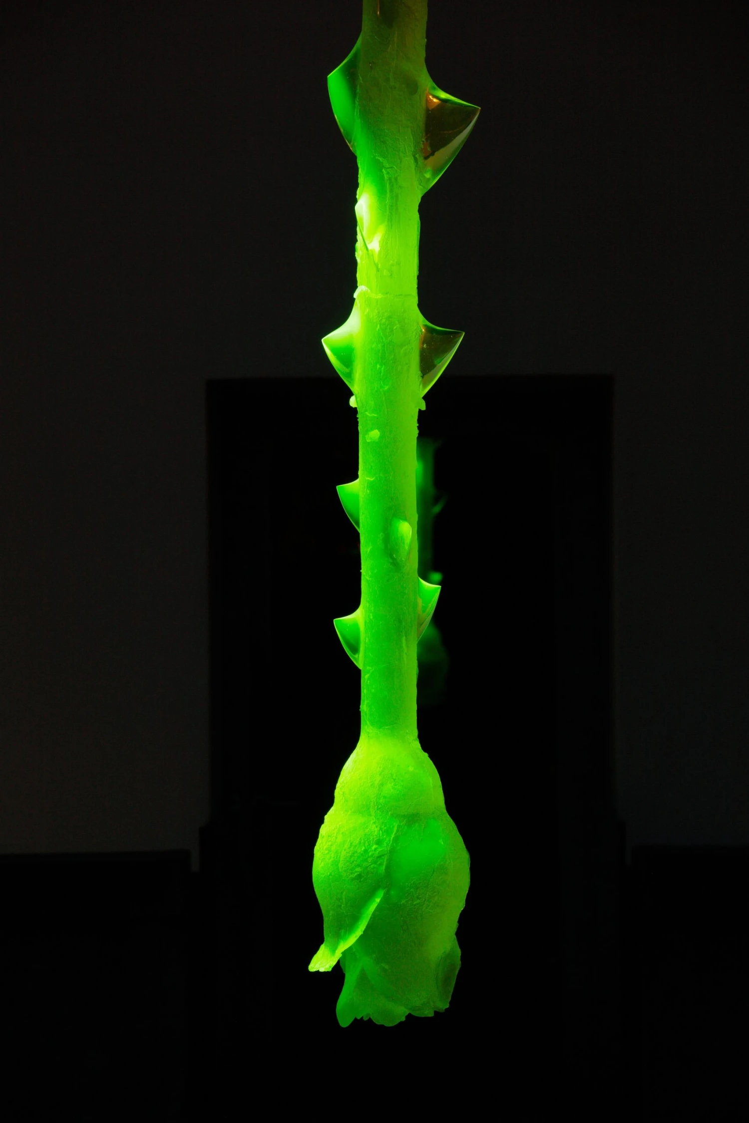 Rony Plesl - Uranium Rose