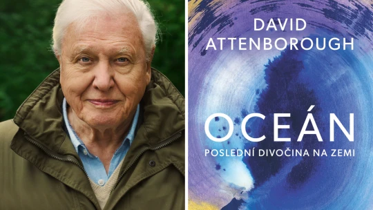 Do penze v 99 letech? Kdepak, Attenborough nekončí a vydává novou knihu