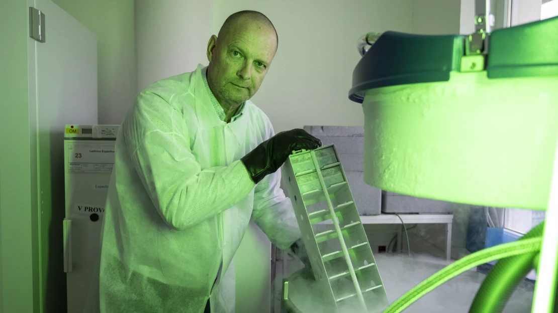 Léčba díky dřeni z&nbsp;dětských zubů. Vědec Bauer otevírá v&nbsp;Praze unikátní biobanku