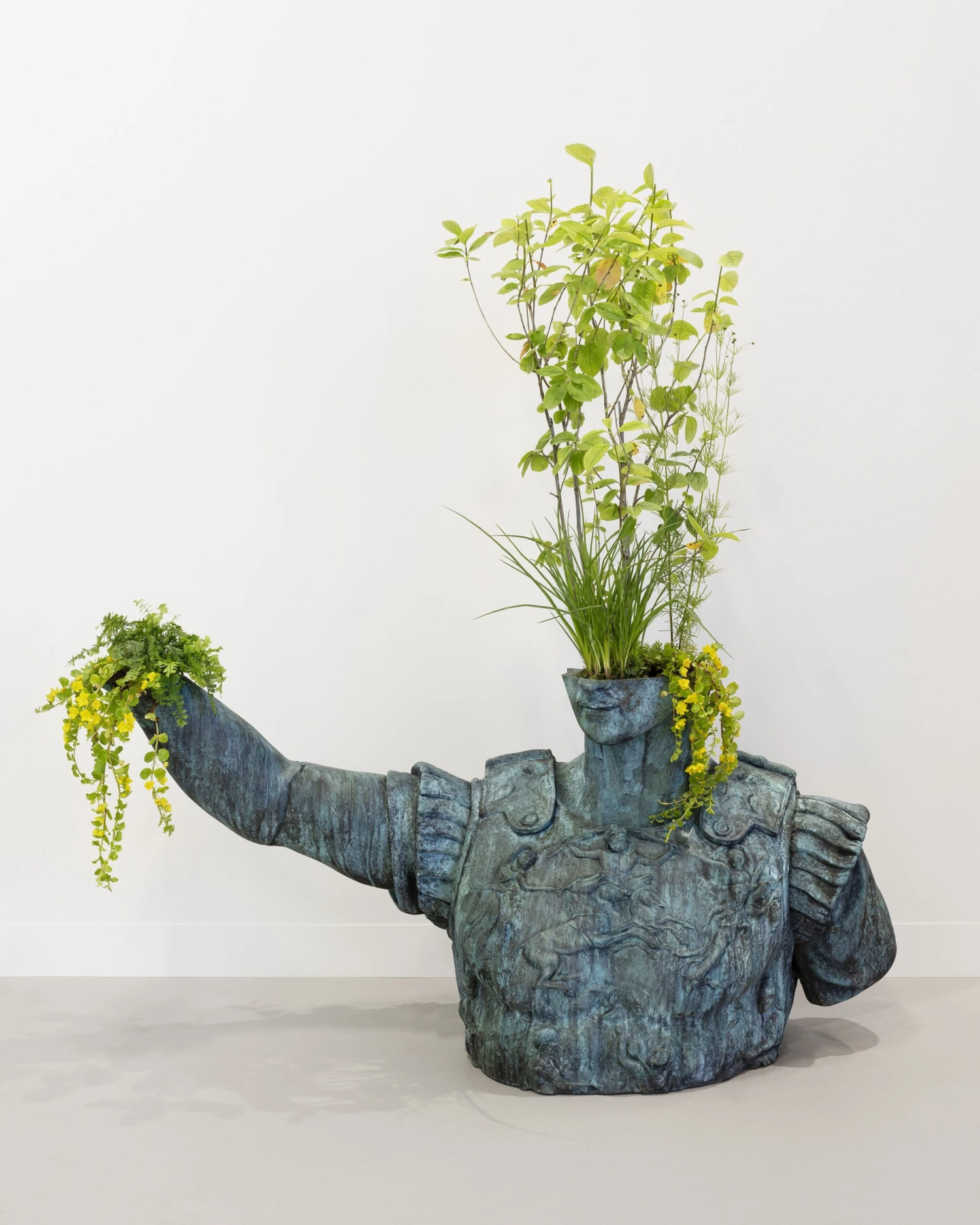 Iván Argote, Wild Flowers, Augustus, A Chest