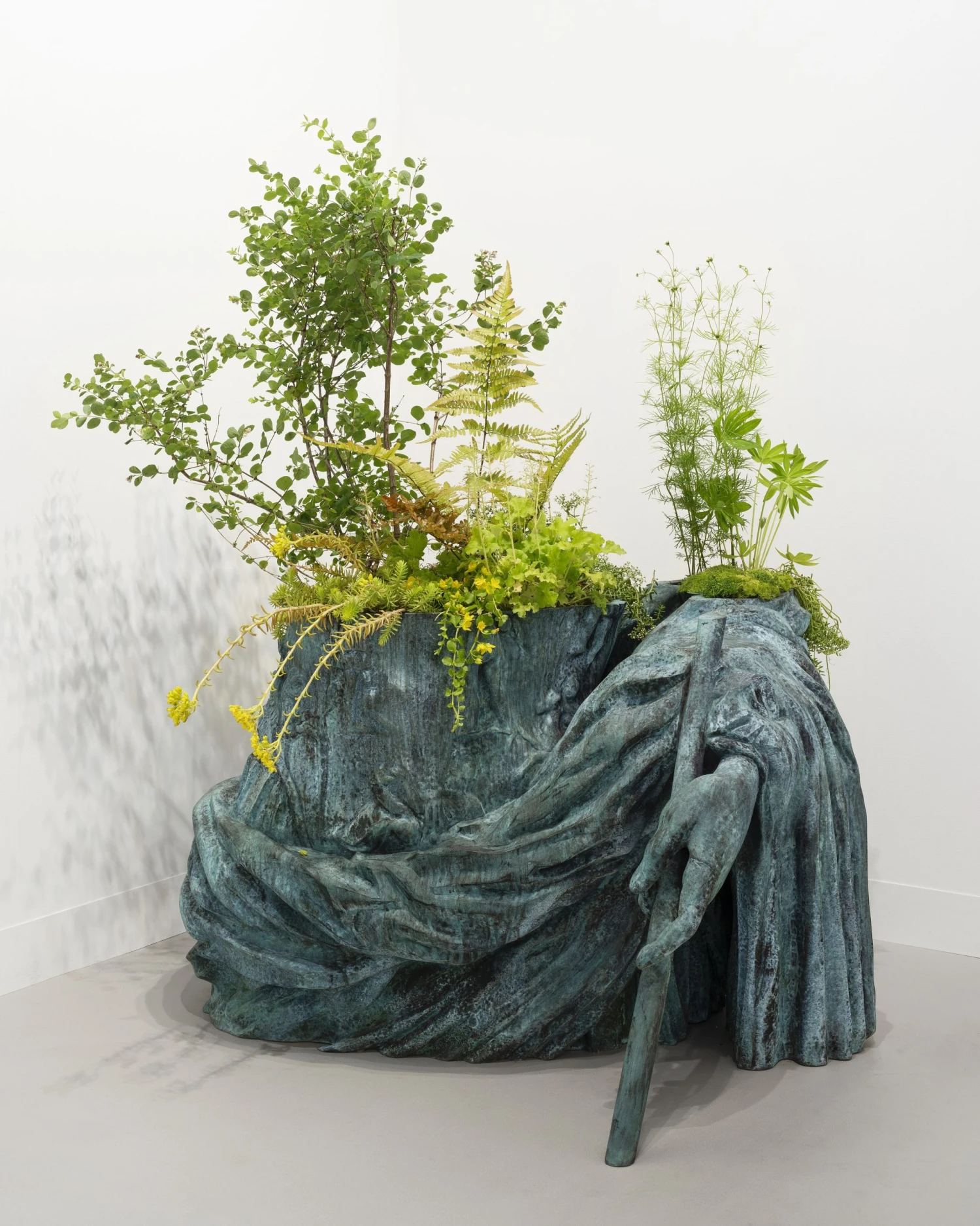 Iván Argote, Wild Flowers, Augustus, A Hip