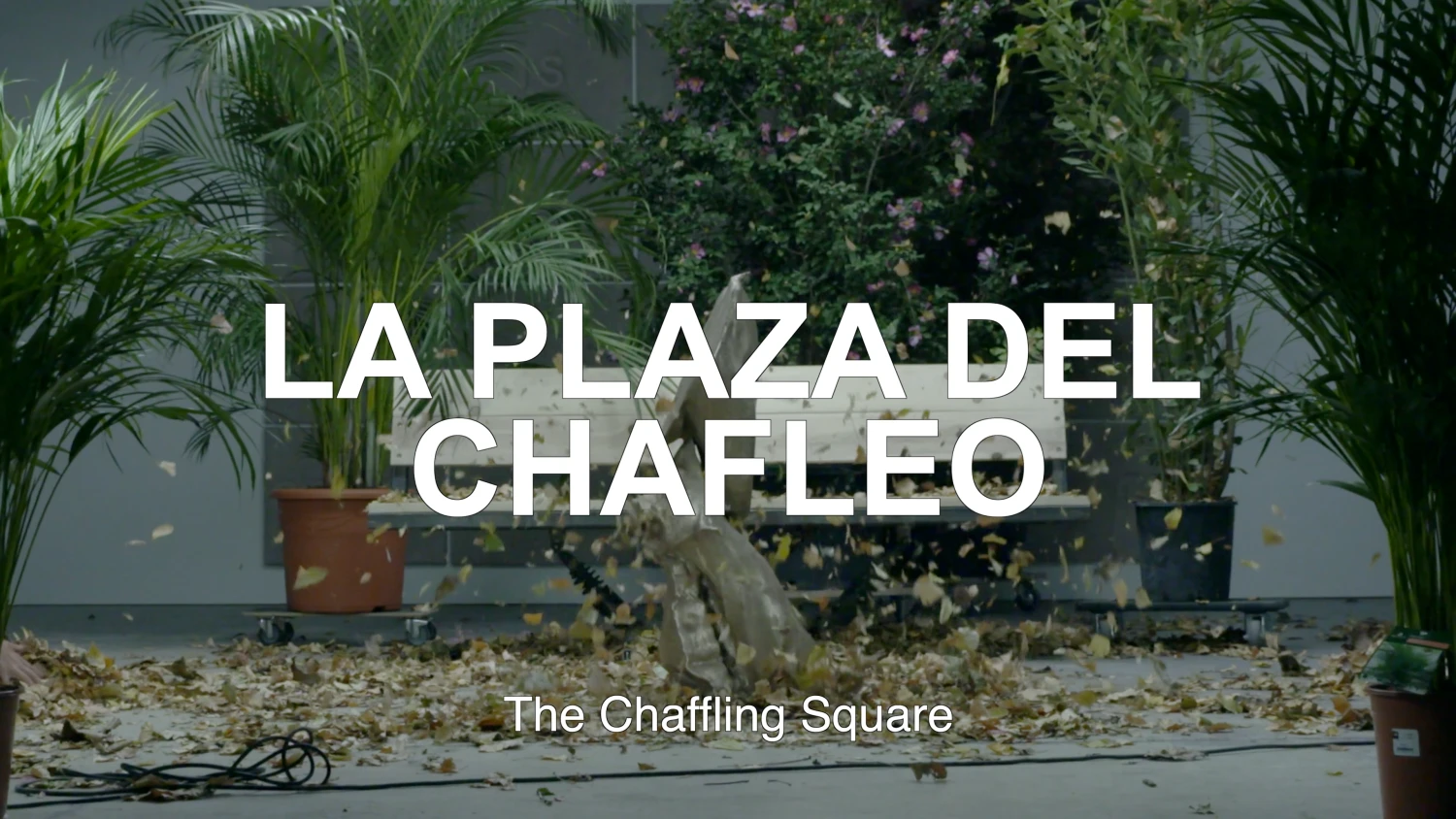 La Plaza del Chafleo