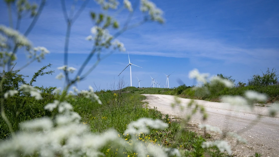 Obnovitelné zdroje předběhly uhlí. Poprvé se z nich vyrobilo více elektřiny