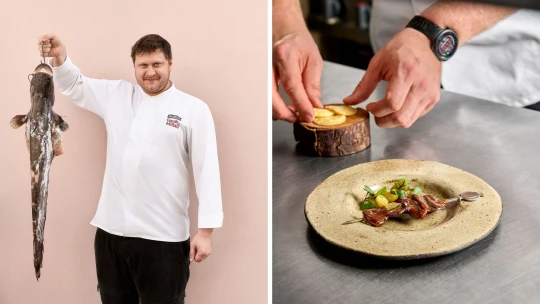 Dítě předáno. Jak vyznavač přiznané přímočarosti posouvá vpřed Vallmo